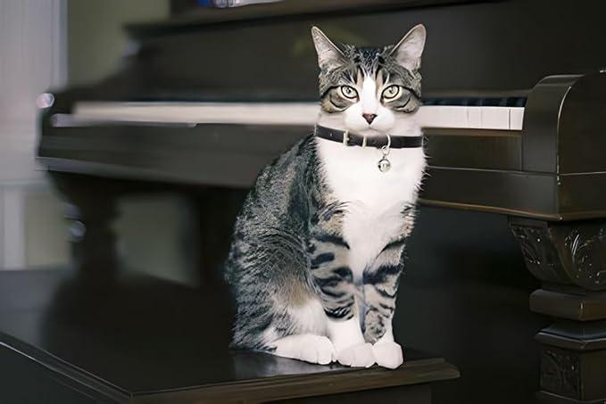 White Puppy Collar with Bell, Soft Pu Leather Cat Collars Adjustable Buckle - Image 3