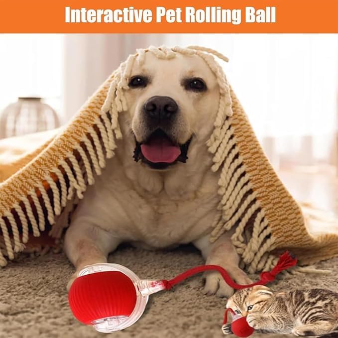 Valentines Day Gifts 2025 New Electric Dog Ball Toy, Electric Ball Dog Toy - Image 5