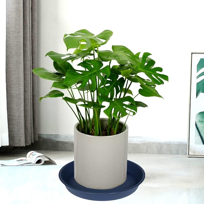 6 Pack of 10 inch Plant Saucer Blue, Heavy Duty Plastic Plant Saucer 10 inch - Image 5