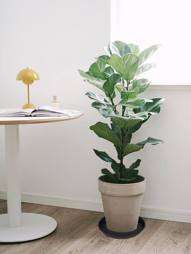 4 Pack of 16 inch Plant Saucer, Heavy Duty Plastic Plant Tray - Image 7