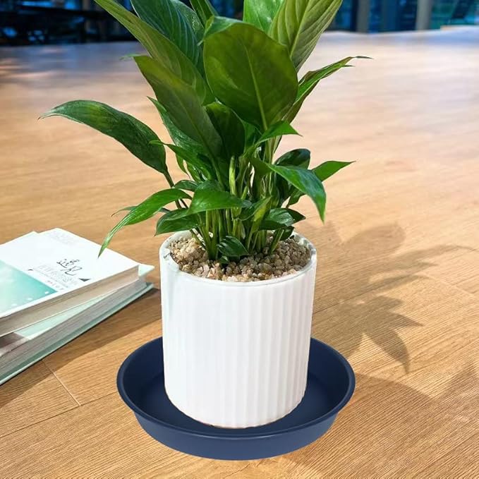 6 Pack Plastic Plant Saucer Planter Water Drip Tray, 4 5 6 7 8 9 10 11 12 inch - Image 5