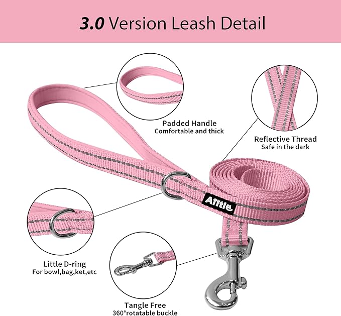AIITLE Step in Dog Harness and Leash Set - Image 10