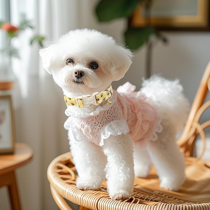 Bee & Daisy Dog Collar for Giant Large Dogs - Image 5