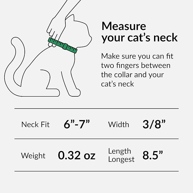 CollarDirect Leather Cat Collar, Kitten Collar - Image 4