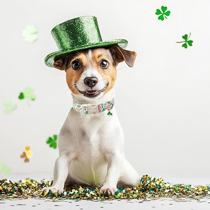 St Patricks Day Dog Collar for Giant Large Dogs - Image 3