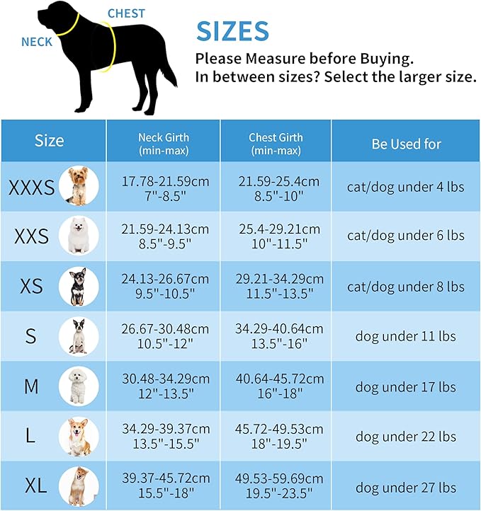 AIITLE Small Harness for Puppy - Image 5