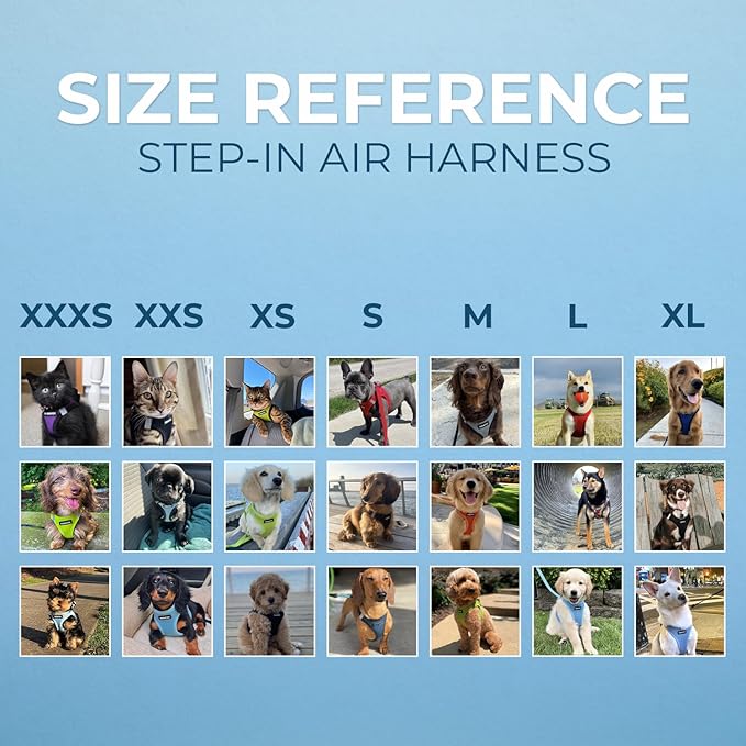 Best Pet Supplies Voyager Step-in Air Harness - Image 5