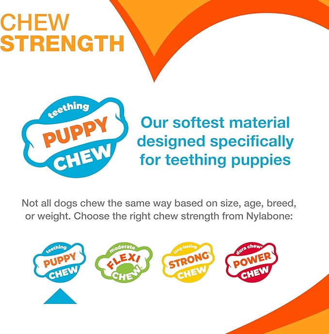 Nylabone Puppy Pacifier Chew Toy, Teething Toys - Image 4