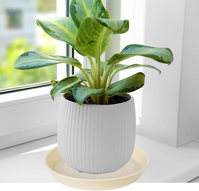 6 Pack of 6 inch Plant Saucer Drainage Tray, 4 5 7 8 10 12 13 15 17 19 inch - Image 4