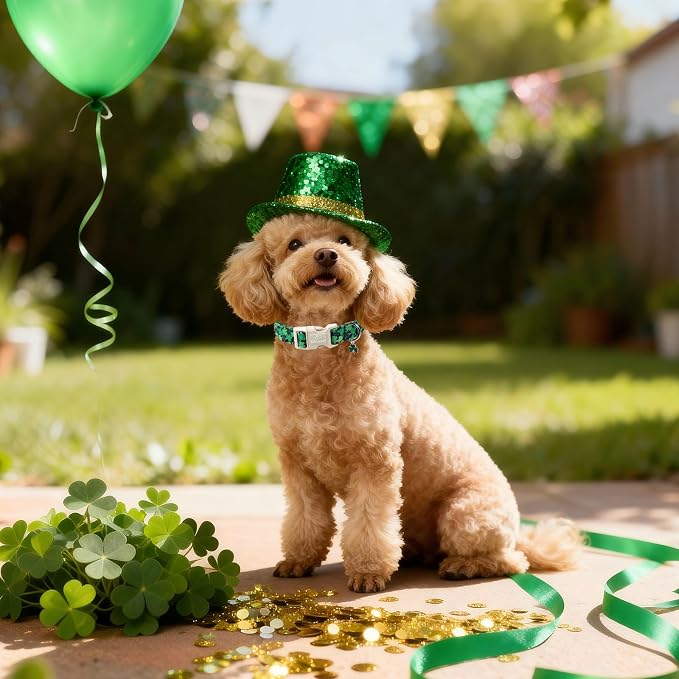 St Patricks Day Dog Collar for Large Dogs - Image 3