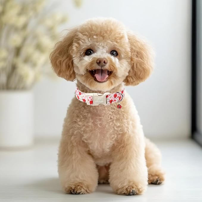 Lucky Ladybug Dog Collar for Large Dogs - Image 6
