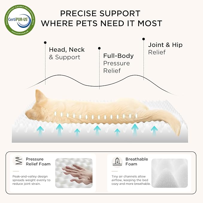 Bedsure Dog Beds Large Sized Dog - Image 3