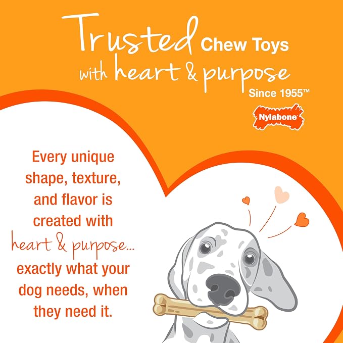 Nylabone Real Wood Stick Toy Strong Chew Toy - Image 10