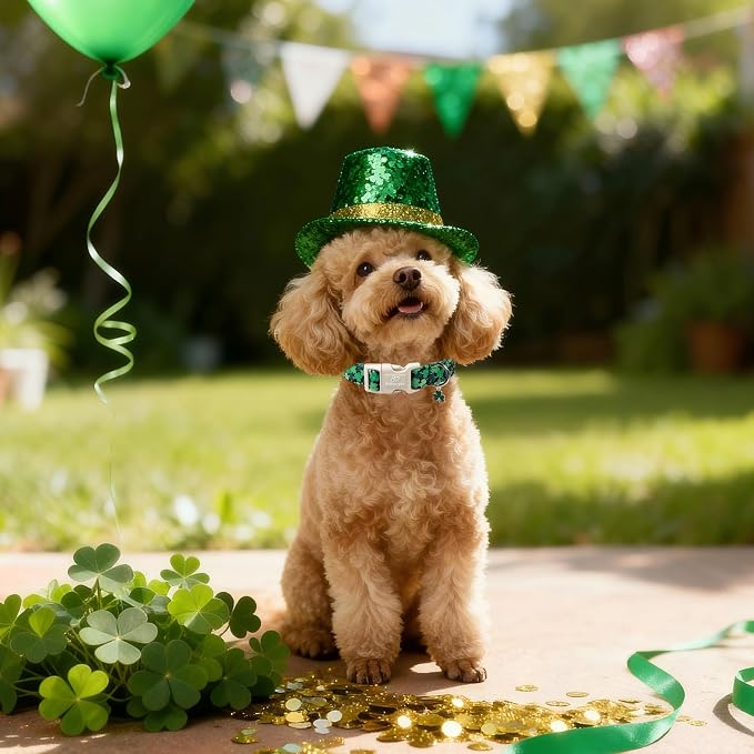 St Patricks Day Dog Collar for Small Dogs - Image 6
