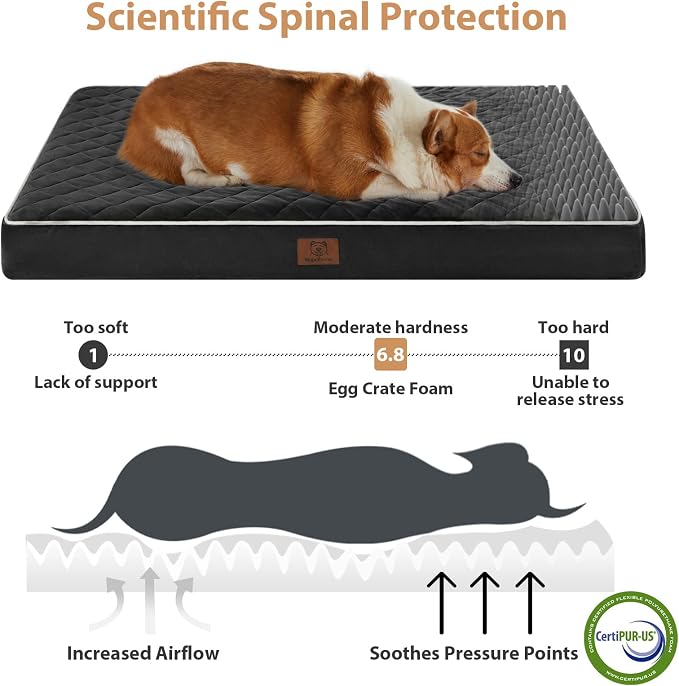 WNPETHOME Orthopedic XL Dog Bed - Image 3