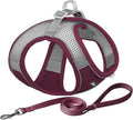 AIITLE Small Harness for Puppy by AIITLE-FORPETSBETTERLIFE