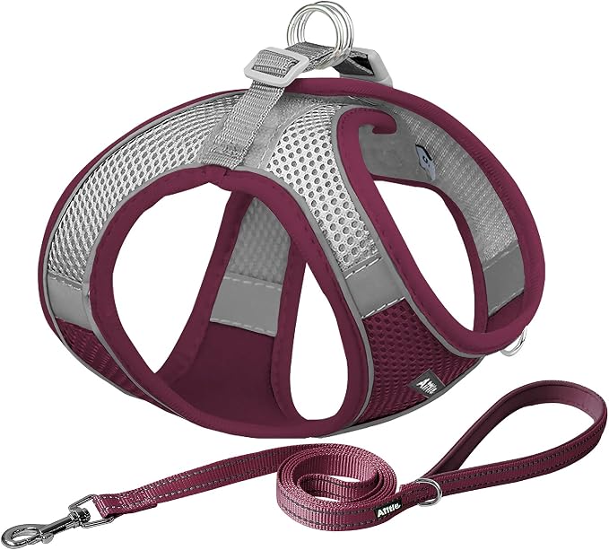 AIITLE Small Harness for Puppy by AIITLE-FORPETSBETTERLIFE
