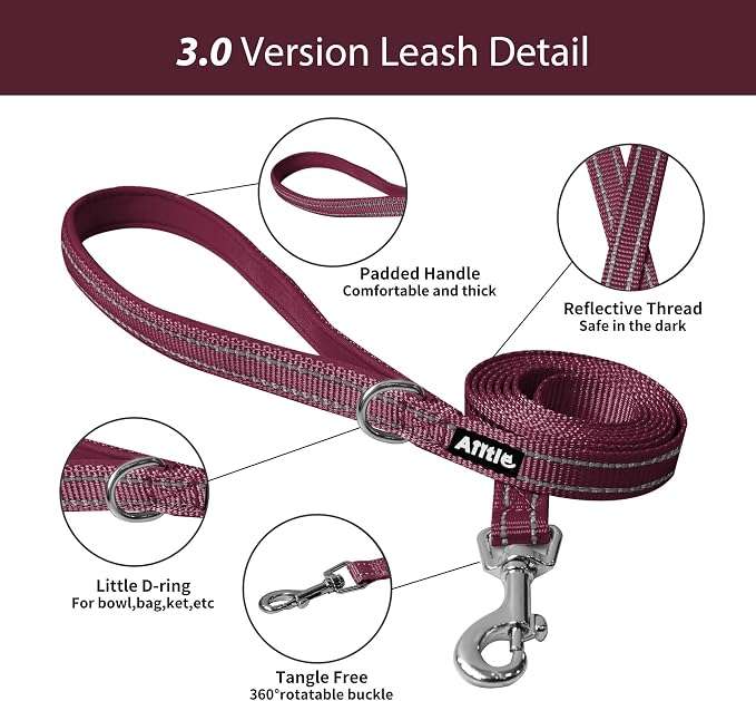 AIITLE Easy Walk Dog Harness and Leash Set - Image 6