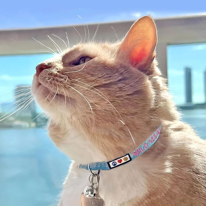 Pawtitas Personalized Black Reflective Cat Collar – Adjustable Custom Collar - Image 3