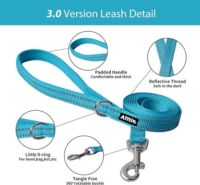 AIITLE Step in Dog Harness and Leash Set - Image 10