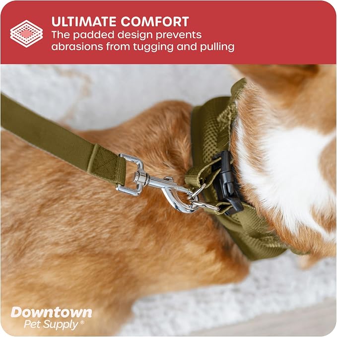 Downtown Pet Supply Step in Dog Harness - Image 6