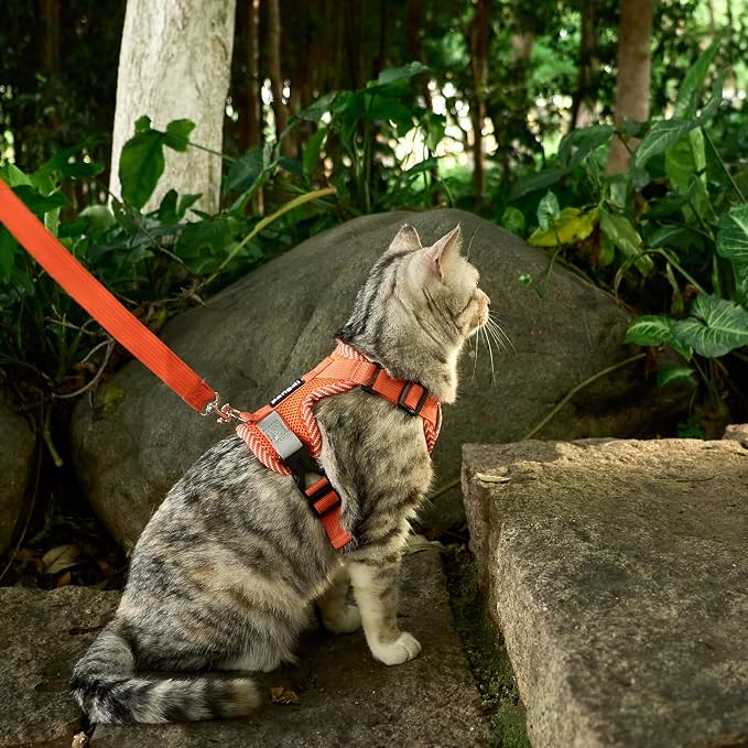 Cat Harness and Leash Escape Proof Large Kitten Harness Ragdoll Cat Vest - Image 8