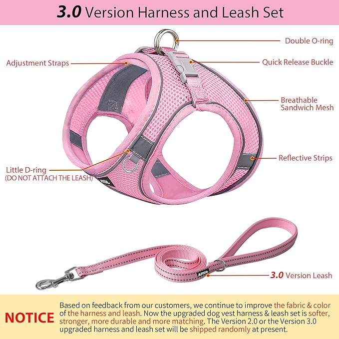 AIITLE Step in Dog Harness and Leash Set - Image 6