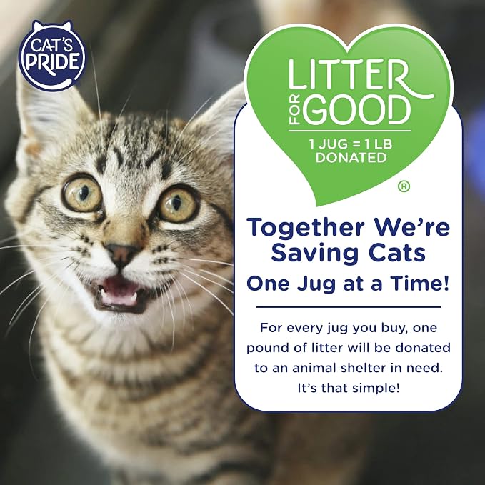 Cat's Pride Max Power: Total Odor Control - Image 6