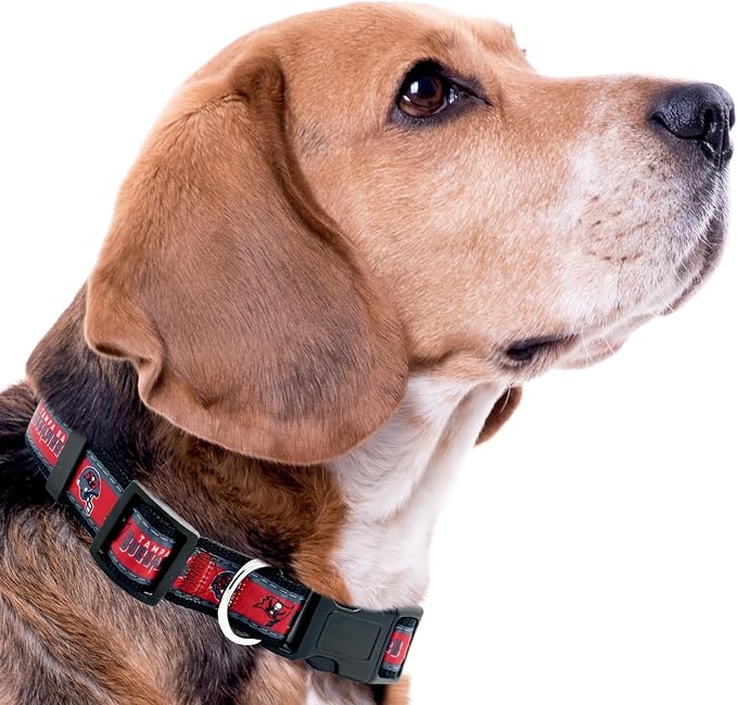 Pets First NFL Tampa Bay Buccaneers Licensed PET COLLAR, Medium - Image 4