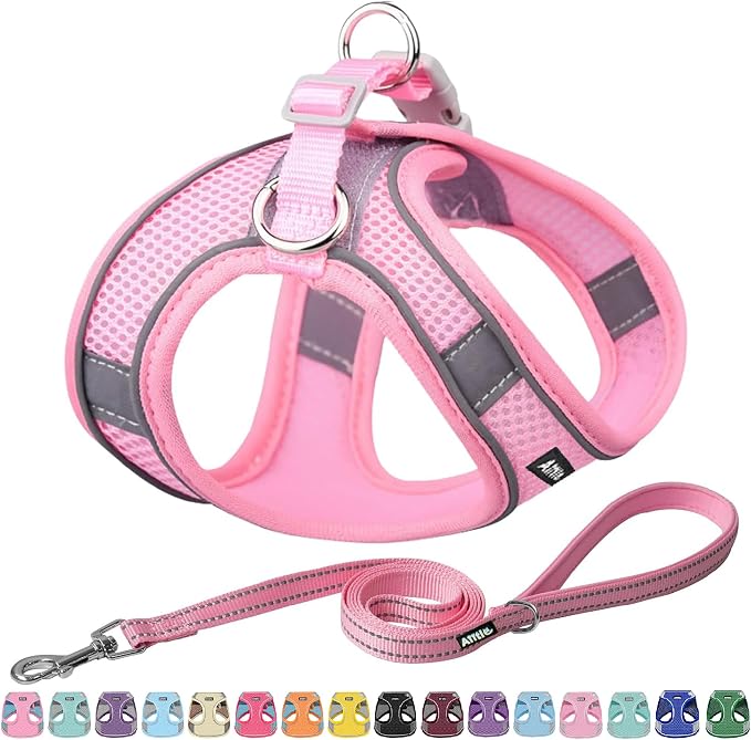AIITLE No Pull Dog Harness and Leash Set, Step in Adjustable Dog Harness by AIITLE-FORPETSBETTERLIFE