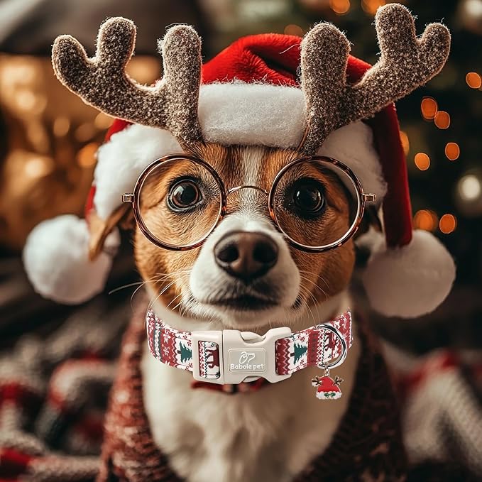 Christmas Dog Collar for Medium Dogs - Image 6