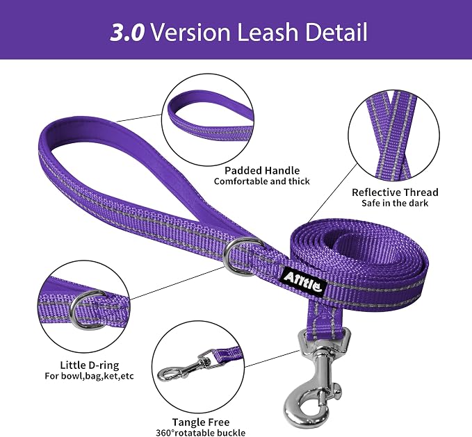 AIITLE Step in Dog Harness and Leash Set - Image 4