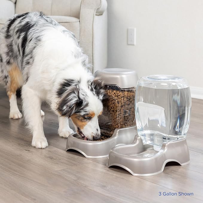 Petmate Pet Cafe Cat and Dog Water Dispenser - Image 7