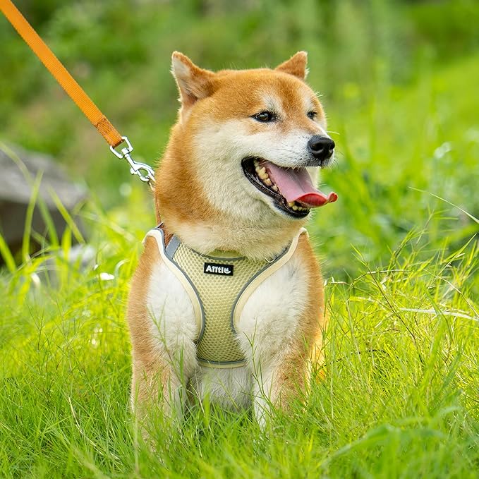 AIITLE Comfortable Dog Harness and Leash Set - Image 2