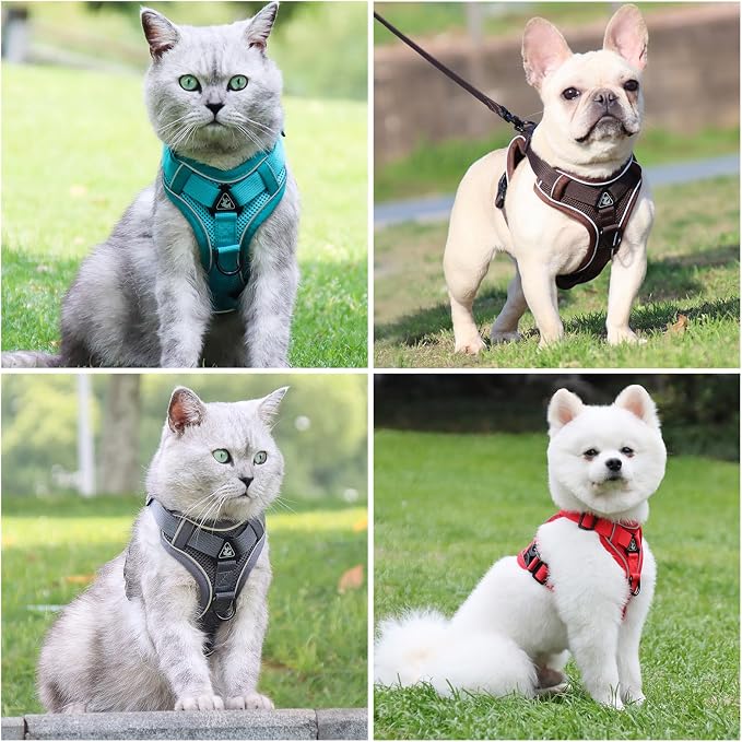 Large Cat Harness and Leash Set - Image 6