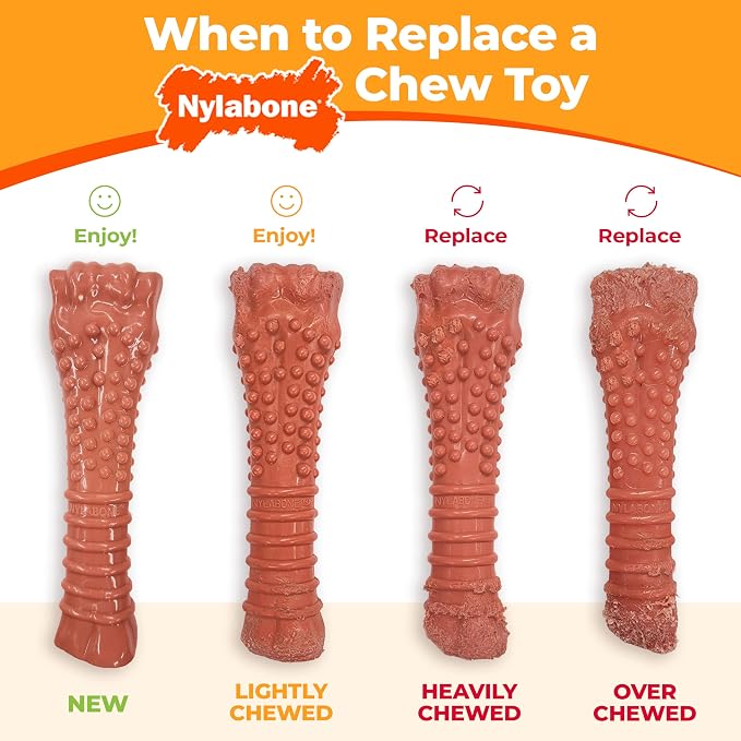 Nylabone Power Chew Classic Bone Chew Toy - Image 6