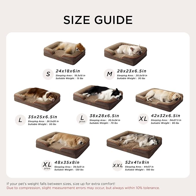 Bedsure Orthopedic Dog Beds for Small Dogs - Image 7