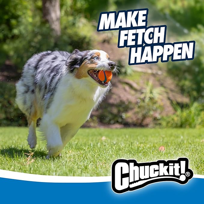 Chuckit! Ultra Ball Dog Toy - Image 4