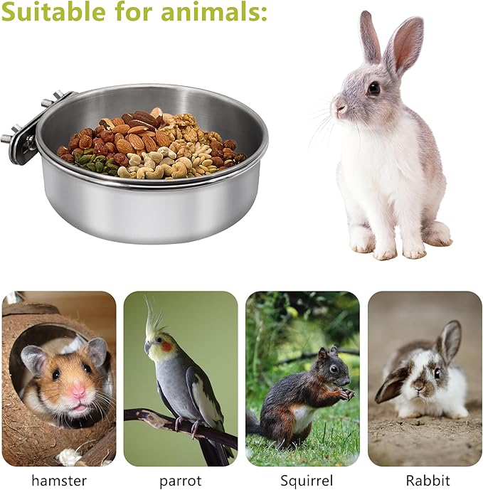 4 Pcs Small Bird Feeding Dish Cups, Parrot Food Bowl Cage - Image 3
