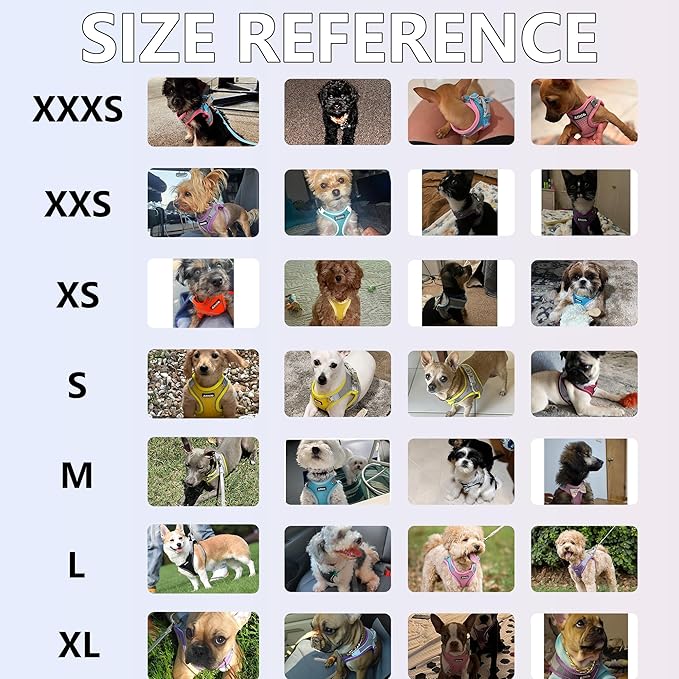 AIITLE Escape Proof Dog Harness - Image 11