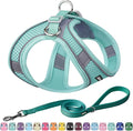AIITLE No Pull Dog Harness and Leash Set, Step in Adjustable Dog Harness by AIITLE-FORPETSBETTERLIFE