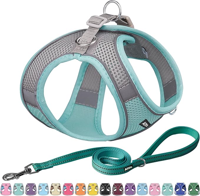 AIITLE No Pull Dog Harness and Leash Set, Step in Adjustable Dog Harness by AIITLE-FORPETSBETTERLIFE