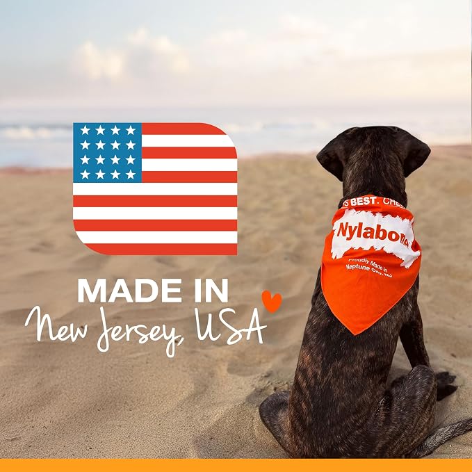 Nylabone Textured Ring Power Chew Toy - Image 10