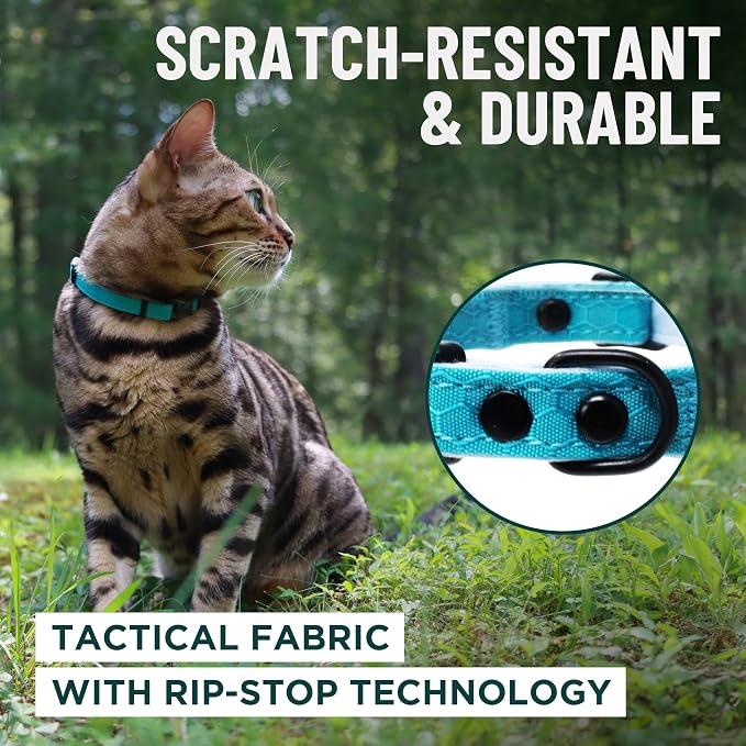 OutdoorBengal Blue Cat Collar Breakaway - Image 4