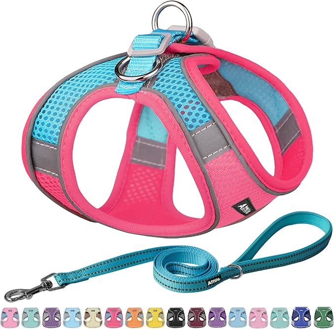 AIITLE Small Harness for Puppy by AIITLE-FORPETSBETTERLIFE