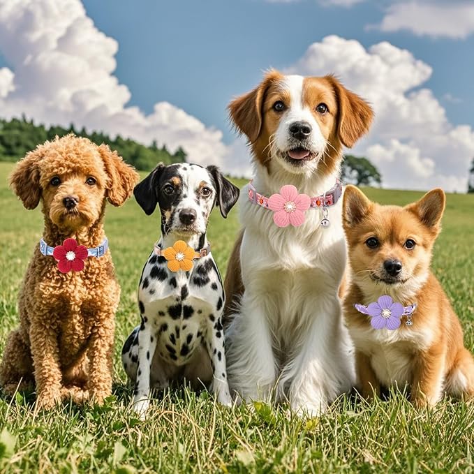 Small Dog Collar with Flower, Puppy Collar - Image 6