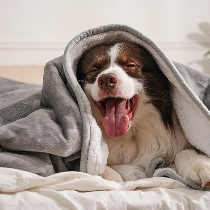 gogobunny Dog Blanket, Waterproof Reversible Sherpa Fleece Throw Blanket - Image 6