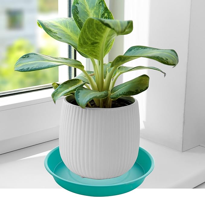 6 Pack of 10 inch Plant Saucer Blue, Heavy Duty Plastic Plant Saucer 10 inch - Image 4