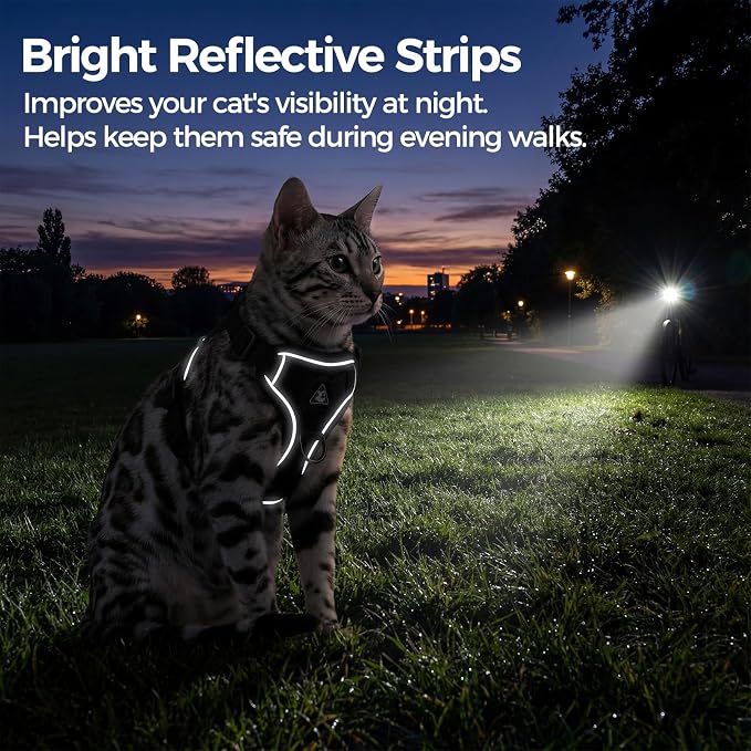 Cat Harness and Leash Set Escape Proof Tactical Small Kitten Harness Emotional - Image 6