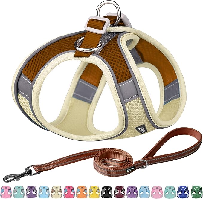 AIITLE Step in Dog Harness and Leash Set by AIITLE-FORPETSBETTERLIFE